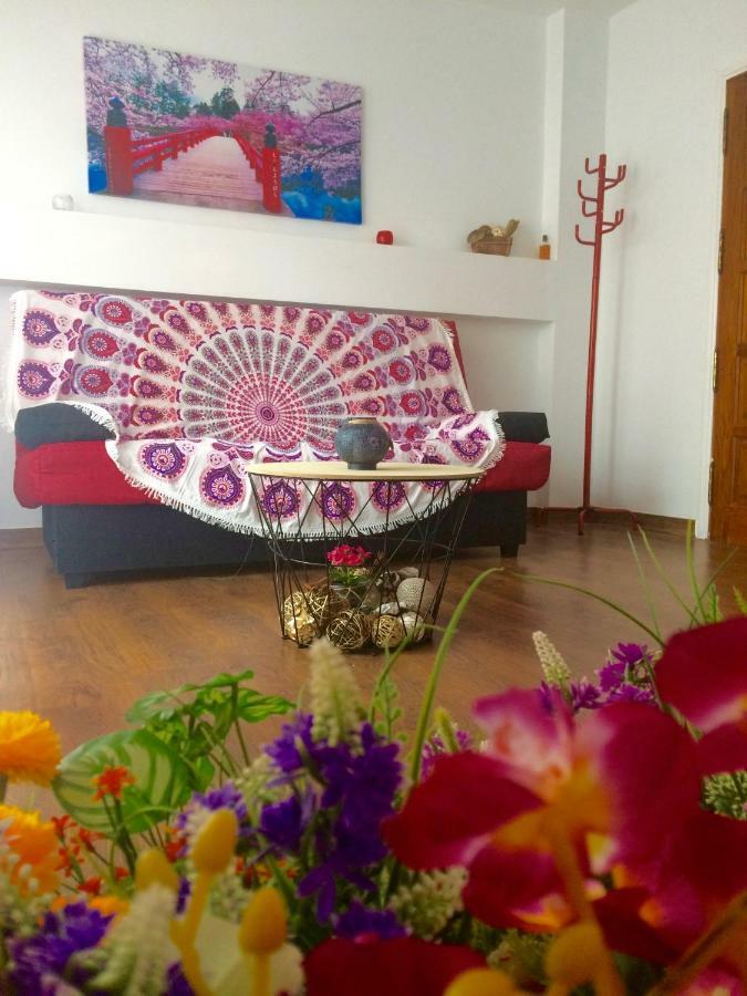 Apartamento Primavera * Las Palmas de Gran Canaria